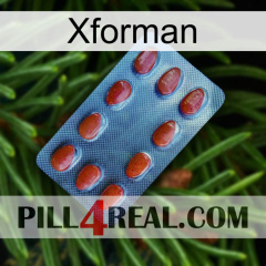 Xforman 06